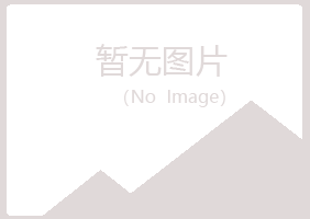 波密县埋没音乐有限公司